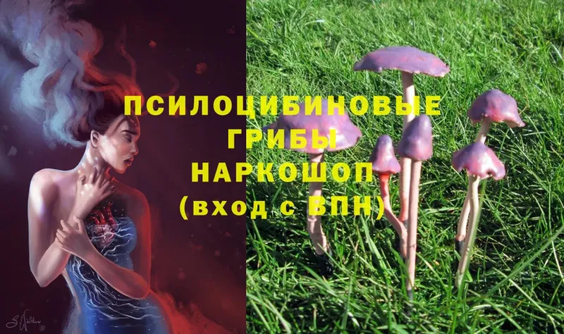 Галлюциногенные грибы Magic Shrooms  Монино 